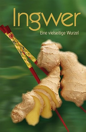 Ingwer - eine vielseitige Wurzel