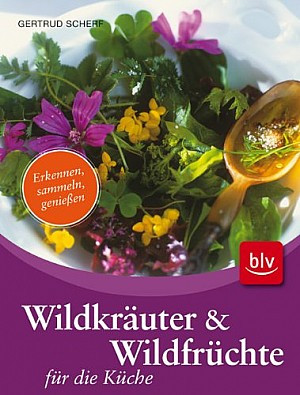 Wildkräuter & Wildfrüchte für die Küche